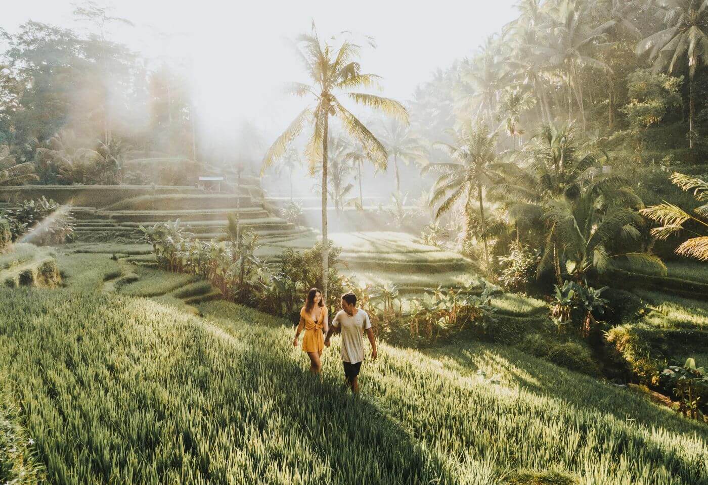 bali-instagram-tour-the-most-famous-spots-tegalalang-rice-terrace-bali-gallery-4817