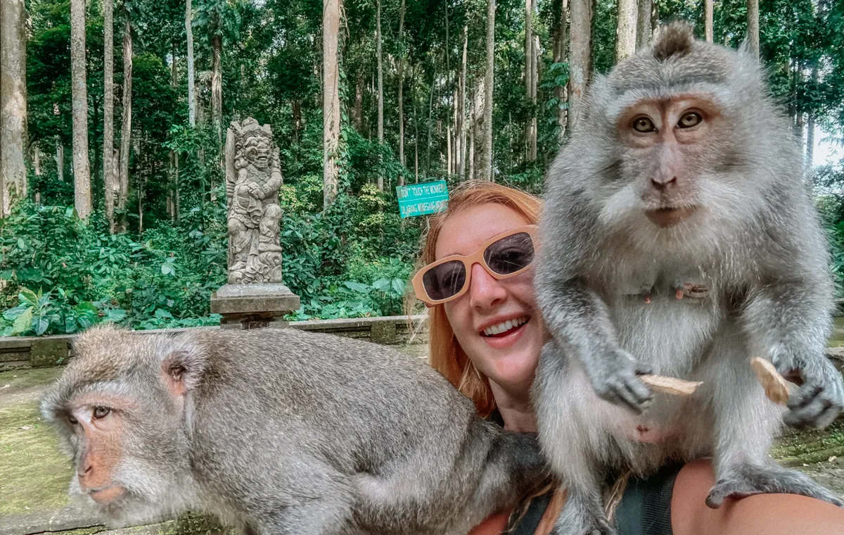 sangeh-monkey-forest-2