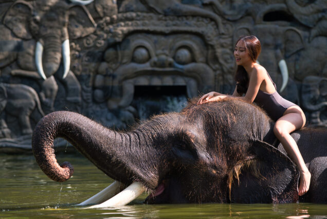 Bali Elephant Bath: Ride & Breakfast Tour