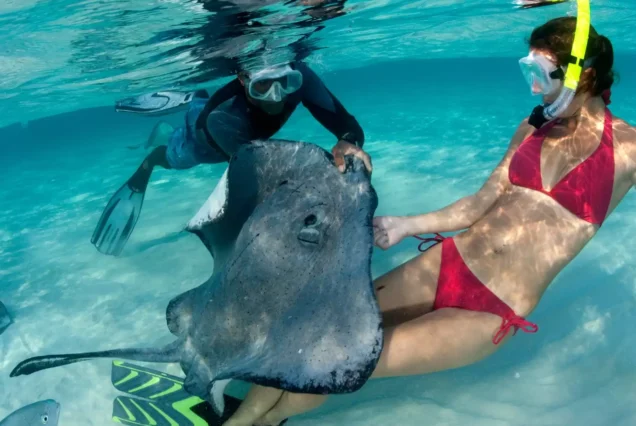 Nusa Penida Snorkeling Tour – Swim with Manta Rays