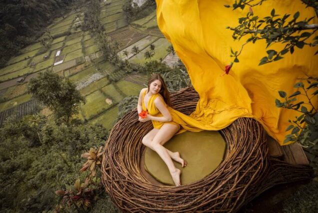 Flying Dress: Swing, Birds Nest & Rice Terrace
